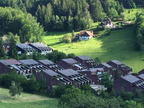Masionette Apartement Terrassenpark Sasbachwalden - Brandmatt Sasbachwalden